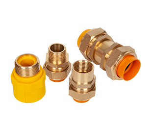 Brass Fittings